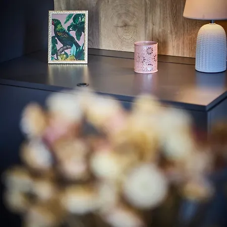 Apartamento Hinterglemm Ski-in & Ski-out *