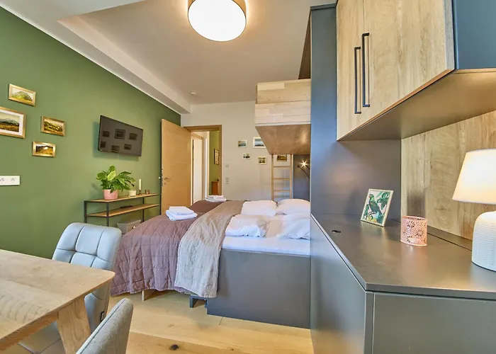 Hinterglemm Ski-in & Ski-out Διαμέρισμα *