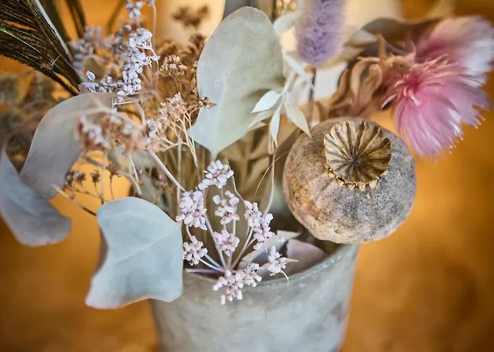 Hinterglemm Ski-in & Ski-out Σάαλμπαχ-Χίντεργκλεμ